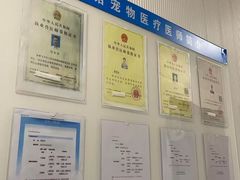 -守诺宠物医院·眼科· 特色牙科·异宠专科(虹口店)