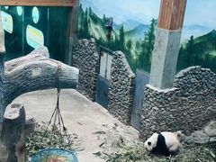 -神农架景区