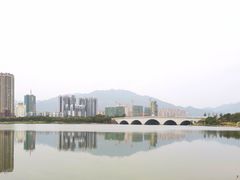 -飞来湖湿地公园