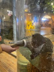 -Zoolung Zoolung动物主题公园(海信广场店)