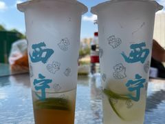 -青藏高原野生动物园
