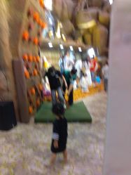 -卡通尼·Safari非洲探索乐园·生日会(金桥国际商业广场店)