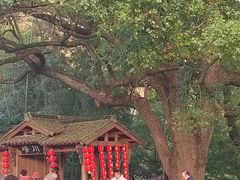 -塔川景区