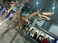 -国家自然博物馆