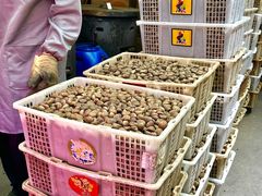 -高记福桂桂花糖炒栗(鼓楼店)