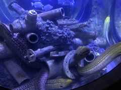 -成都浩海立方海洋公园