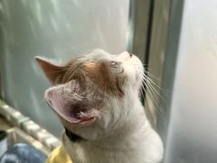 -小时光咖啡馆(北锣鼓巷店)