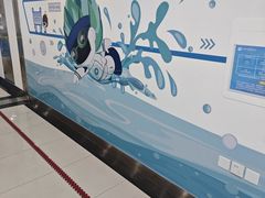 -北京科技大学-游泳馆