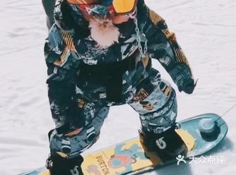 会滑雪的宝宝们也太可爱了吧!