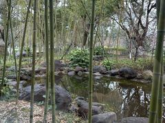 -阳澄湖费尔蒙酒店颐丰阁中餐厅(马鞍山西路店)
