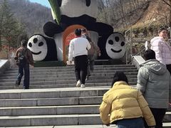 -栾川竹海野生动物园