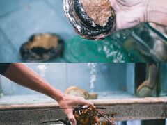 -达叔香味海鲜(海棠68环球美食街店)