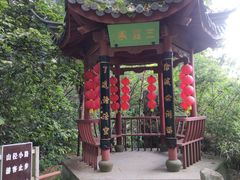 -杭州西湖风景名胜区-三生石