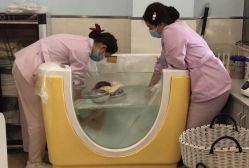 -莲生母婴月子中心(清水河公园店)