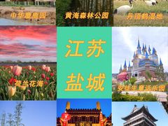 -盐城丹顶鹤湿地生态旅游区