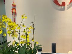 -土豆口腔(凤凰北总店)