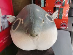 -肆月河豚·新淮扬(金融街店)