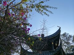 -金鸡山公园