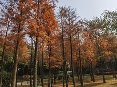 -晓港公园