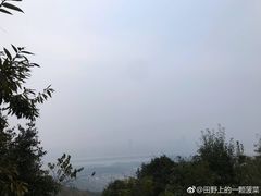 -茶颜悦色(岳麓山顶店)
