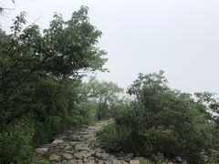 -阳台山自然风景区