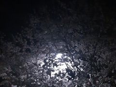 -湖北经济学院-图书馆