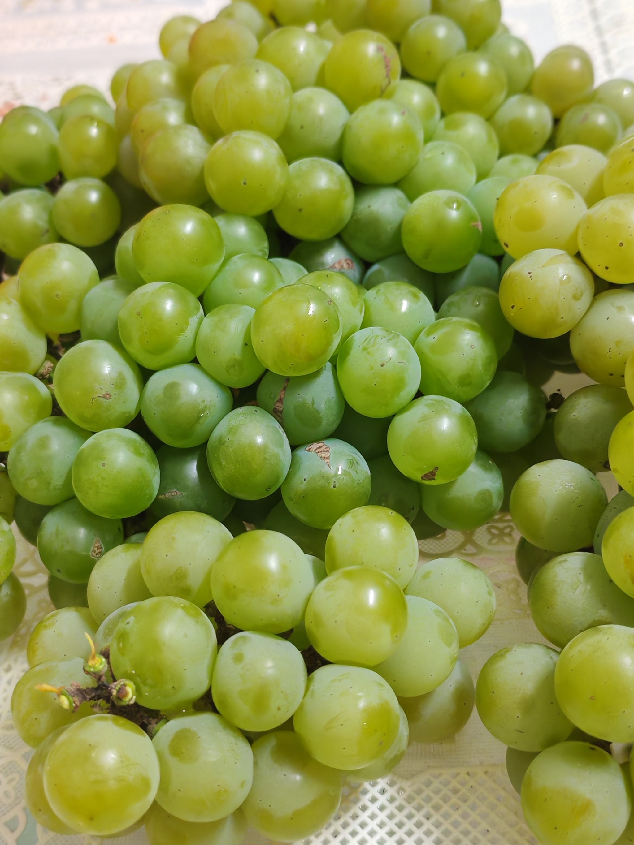 最爱吃的葡萄 水晶小葡萄!
