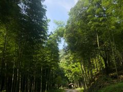 -黄公望隐居地