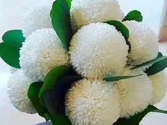 -花园街
