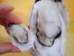 生蚝-蚝专家(北滘店)