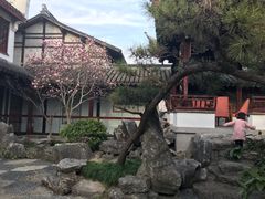 -碧丽宫大酒店(召稼楼店)