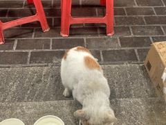 -无招牌