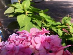 -秘密小花园(第三中学店)