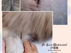 -喵汪宠物生活馆(涞坊路店)