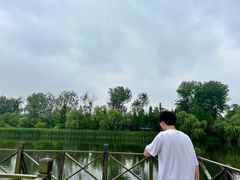 -溱湖国家湿地公园