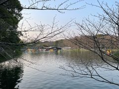 -上海共青森林公园