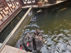 景观位-湖鲜楼
