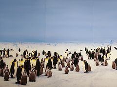 -罗红摄影艺术馆