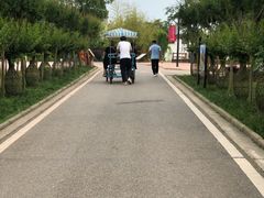 -武汉紫薇都市田园