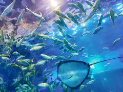 -华夏文旅海洋公园