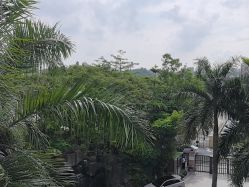 -宝生月子中心·私家园林式(龙华观澜店)