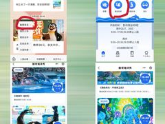 -海合安成都极地海洋公园