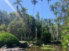 -中国科学院西双版纳热带植物园