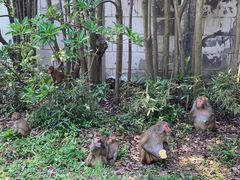 -苏州上方山国家森林公园