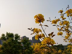 -必胜客(福州永嘉PH店)