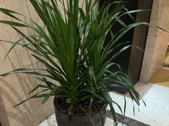 -洛阳宴·洛阳菜(南昌路店)