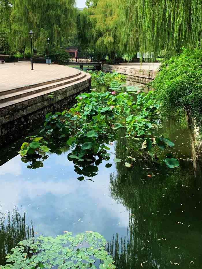 洗耳池公园-"96合肥大众橙v点评明星榜96位置:洗.