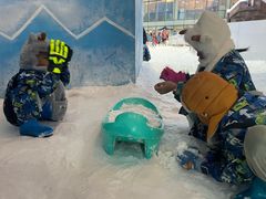 -世界之窗阿尔卑斯冰雪世界