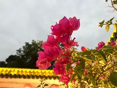 -粥旺庄(芳村店)