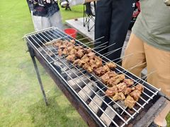 -春花秋色城市公园